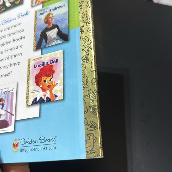 Taylor Swift | Little Golden Book Biography - Picture 4 of 4